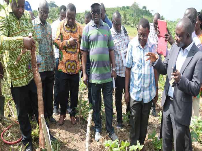 National Varietal Release and Registration Committee Inspects UCC Cassava Project Inspection of the proposed cassava