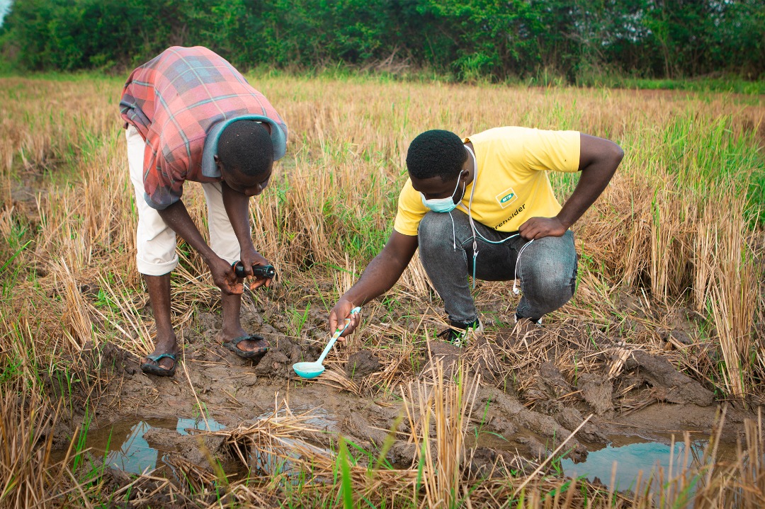 Vector Biology and Control in Ghana Vector Biology and Control in Ghana