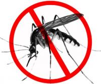 Malaria
